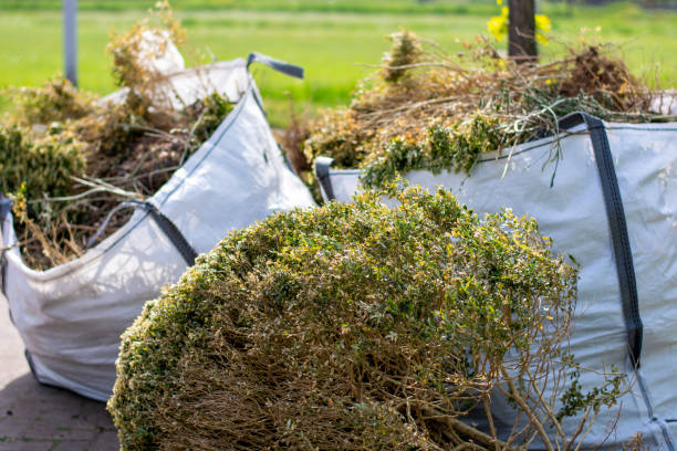 Professional Junk Removal Services in Sierra Vista, AZ
